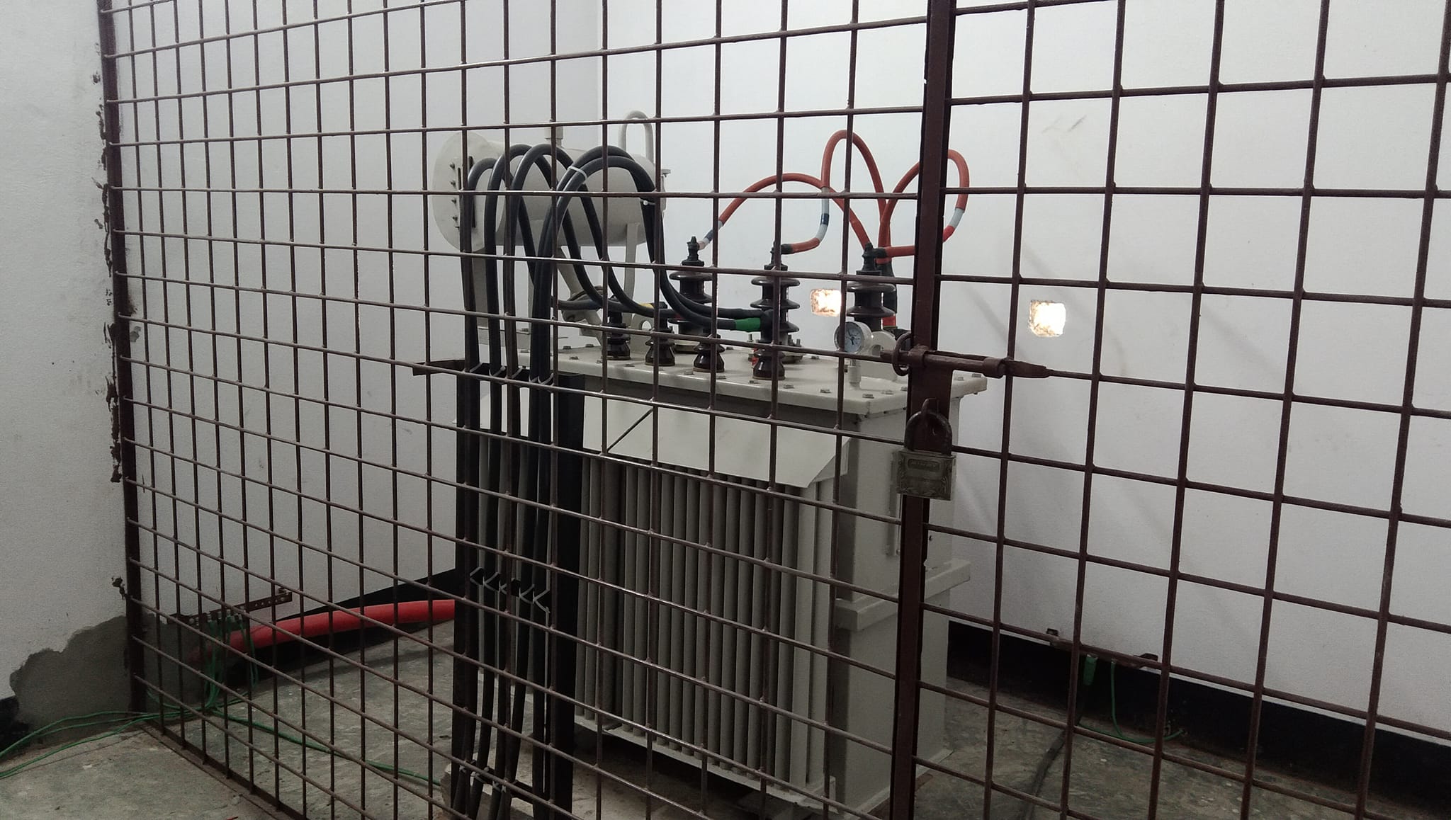 311709167_187019807186855_6856518994190473443_n